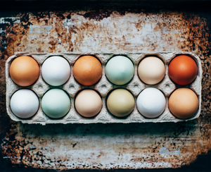Cage-Free vs. Free-Range vs. Organic Eggs: The Difference Between Egg Labels